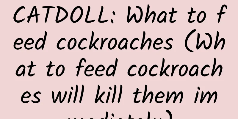 CATDOLL: What to feed cockroaches (What to feed cockroaches will kill them immediately)