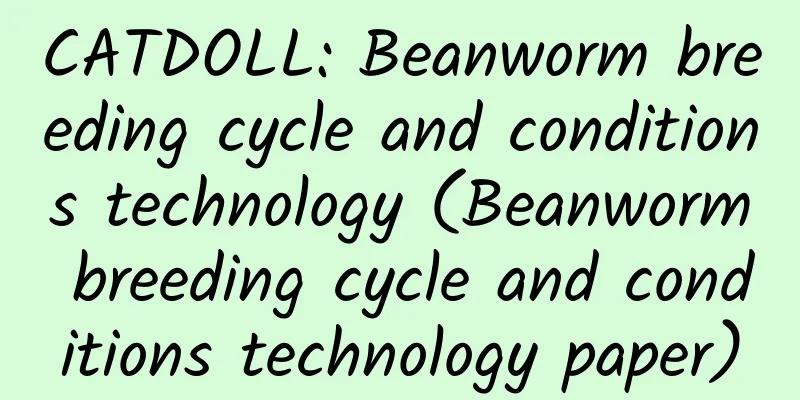 CATDOLL: Beanworm breeding cycle and conditions technology (Beanworm breeding cycle and conditions technology paper)