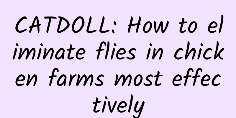 CATDOLL: How to eliminate flies in chicken farms most effectively