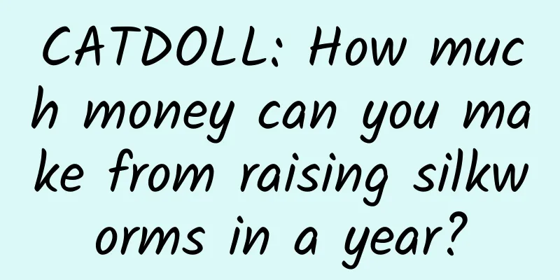 CATDOLL: How much money can you make from raising silkworms in a year?