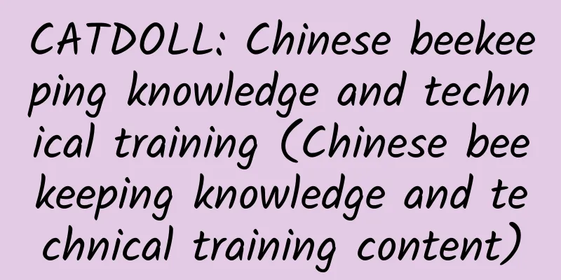 CATDOLL: Chinese beekeeping knowledge and technical training (Chinese beekeeping knowledge and technical training content)