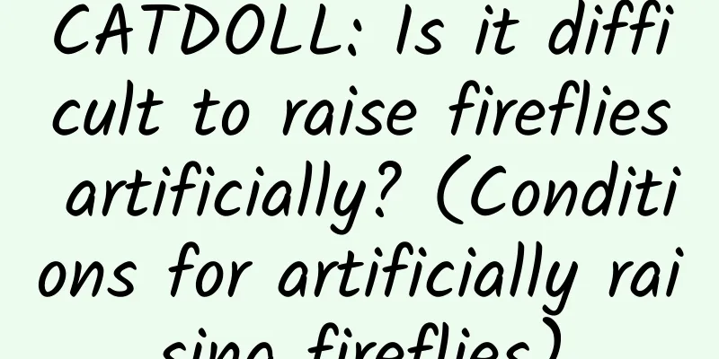 CATDOLL: Is it difficult to raise fireflies artificially? (Conditions for artificially raising fireflies)