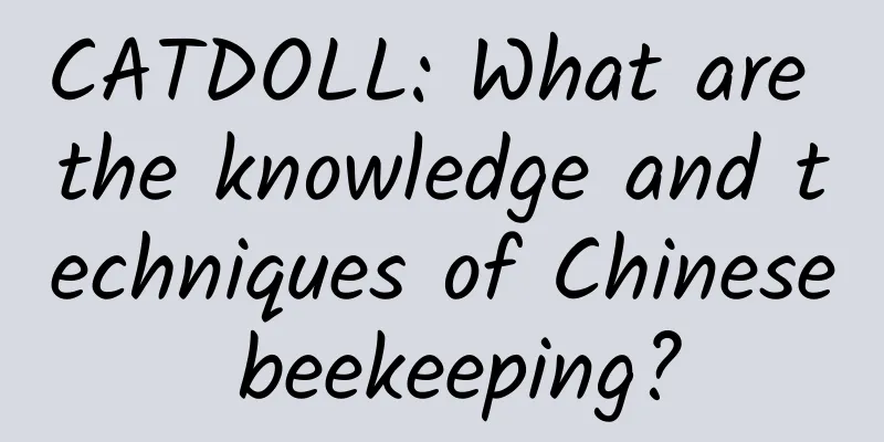CATDOLL: What are the knowledge and techniques of Chinese beekeeping?