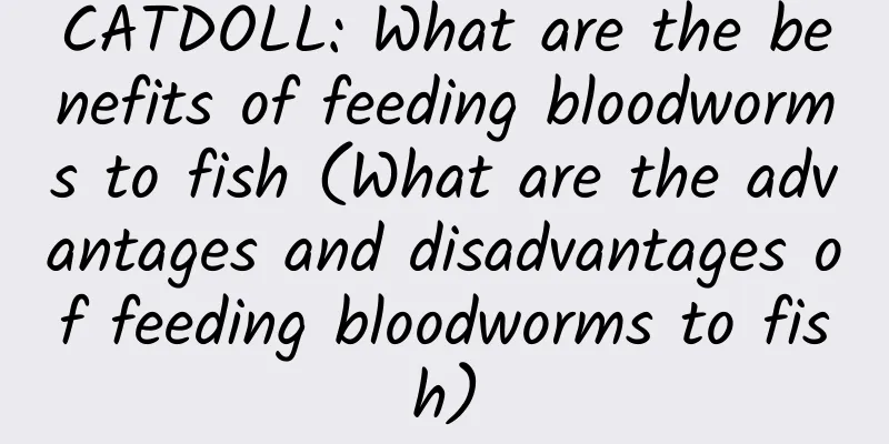 CATDOLL: What are the benefits of feeding bloodworms to fish (What are the advantages and disadvantages of feeding bloodworms to fish)