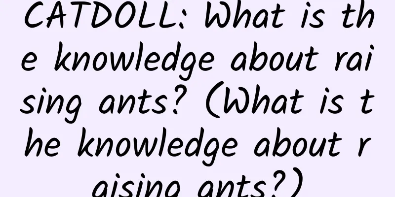 CATDOLL: What is the knowledge about raising ants? (What is the knowledge about raising ants?)
