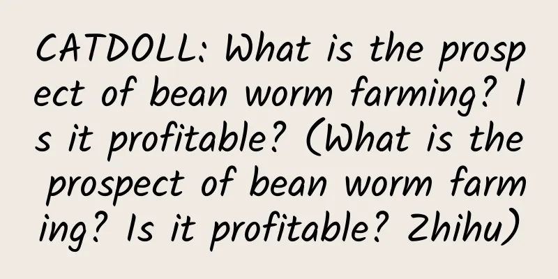 CATDOLL: What is the prospect of bean worm farming? Is it profitable? (What is the prospect of bean worm farming? Is it profitable? Zhihu)