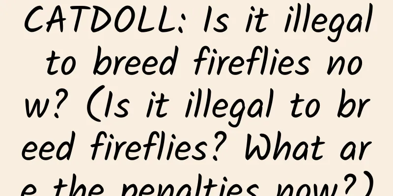 CATDOLL: Is it illegal to breed fireflies now? (Is it illegal to breed fireflies? What are the penalties now?)
