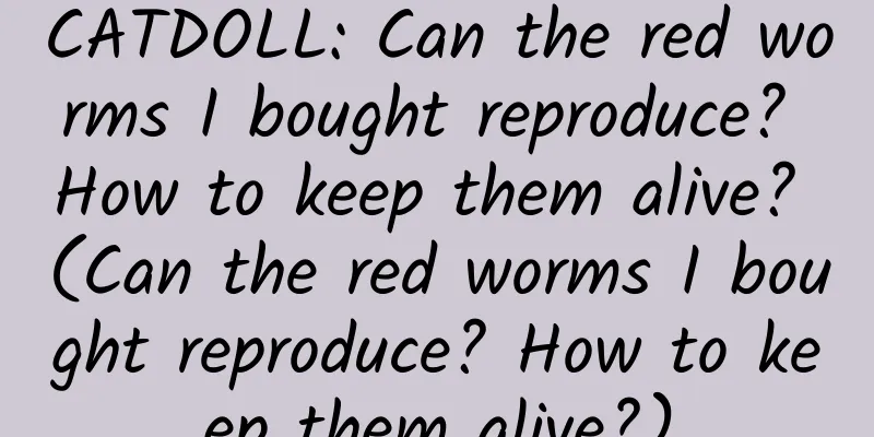 CATDOLL: Can the red worms I bought reproduce? How to keep them alive? (Can the red worms I bought reproduce? How to keep them alive?)
