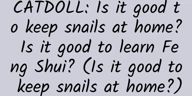 CATDOLL: Is it good to keep snails at home? Is it good to learn Feng Shui? (Is it good to keep snails at home?)