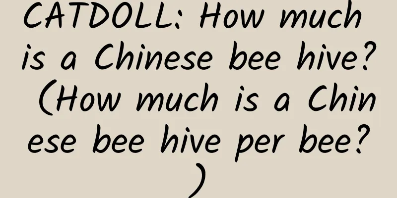 CATDOLL: How much is a Chinese bee hive? (How much is a Chinese bee hive per bee?)