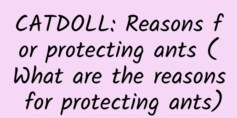 CATDOLL: Reasons for protecting ants (What are the reasons for protecting ants)