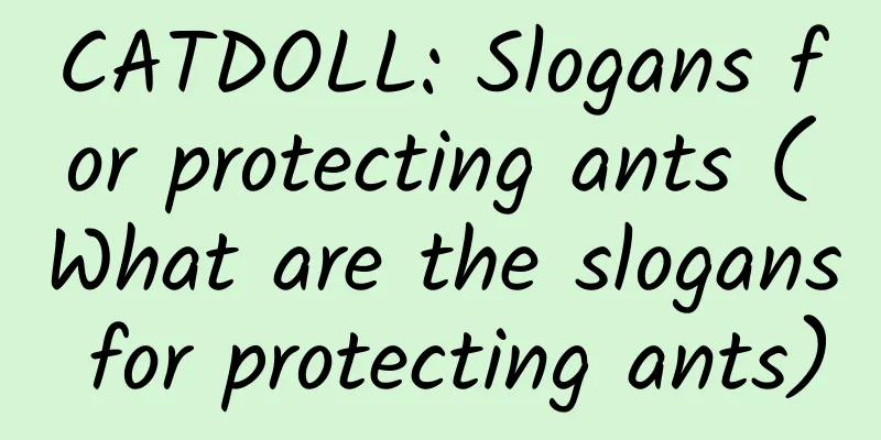 CATDOLL: Slogans for protecting ants (What are the slogans for protecting ants)