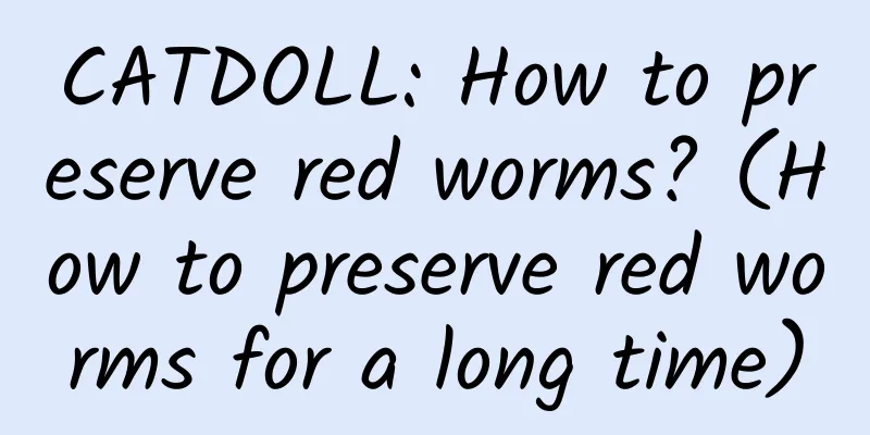 CATDOLL: How to preserve red worms? (How to preserve red worms for a long time)