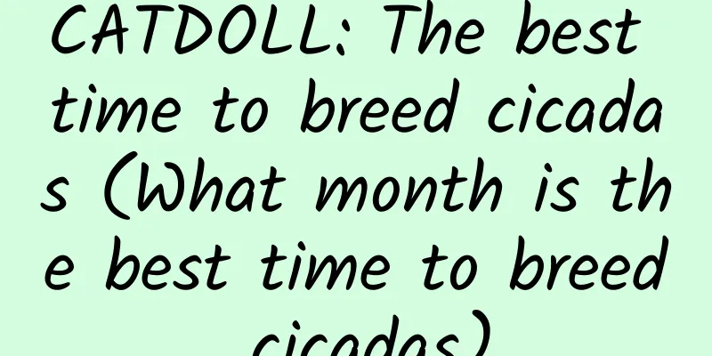CATDOLL: The best time to breed cicadas (What month is the best time to breed cicadas)