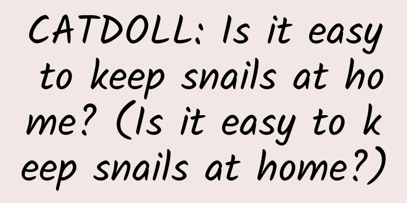 CATDOLL: Is it easy to keep snails at home? (Is it easy to keep snails at home?)