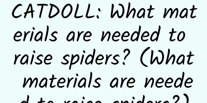 CATDOLL: What materials are needed to raise spiders? (What materials are needed to raise spiders?)