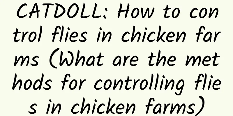 CATDOLL: How to control flies in chicken farms (What are the methods for controlling flies in chicken farms)