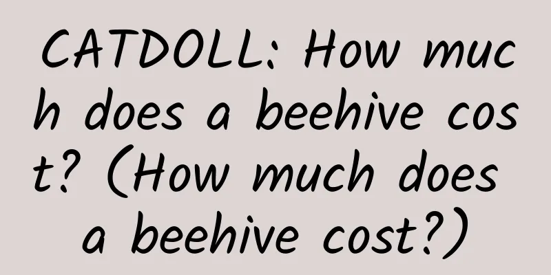 CATDOLL: How much does a beehive cost? (How much does a beehive cost?)