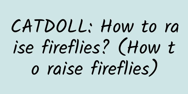 CATDOLL: How to raise fireflies? (How to raise fireflies)