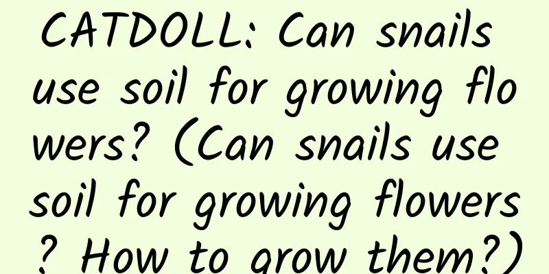 CATDOLL: Can snails use soil for growing flowers? (Can snails use soil for growing flowers? How to grow them?)
