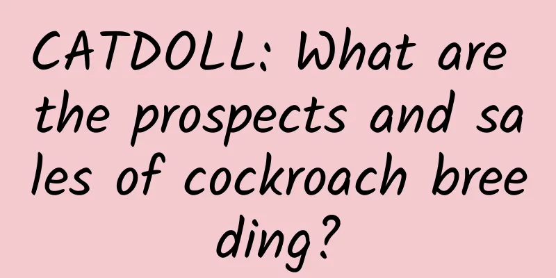 CATDOLL: What are the prospects and sales of cockroach breeding?