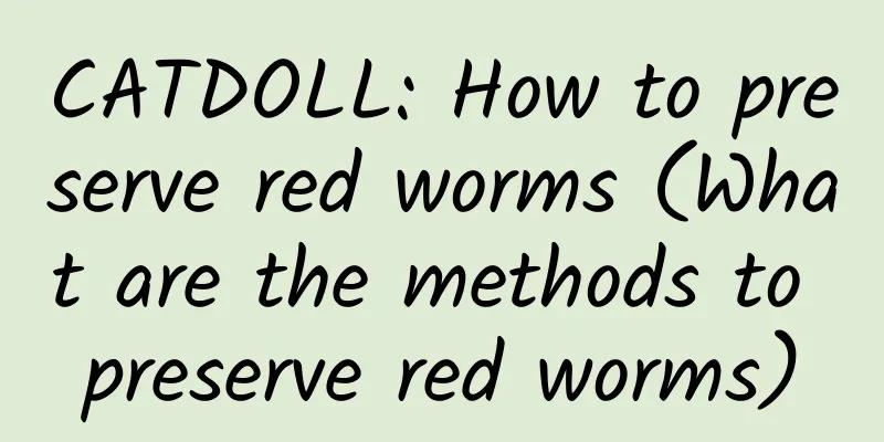 CATDOLL: How to preserve red worms (What are the methods to preserve red worms)