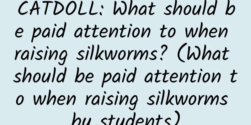 CATDOLL: What should be paid attention to when raising silkworms? (What should be paid attention to when raising silkworms by students)