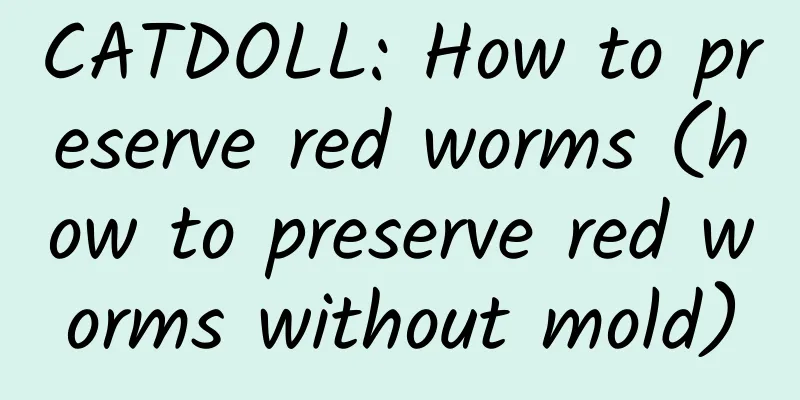 CATDOLL: How to preserve red worms (how to preserve red worms without mold)