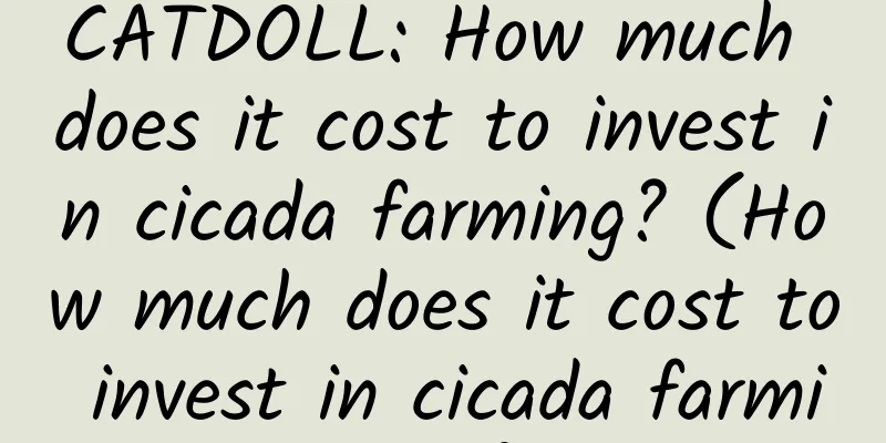 CATDOLL: How much does it cost to invest in cicada farming? (How much does it cost to invest in cicada farming?)