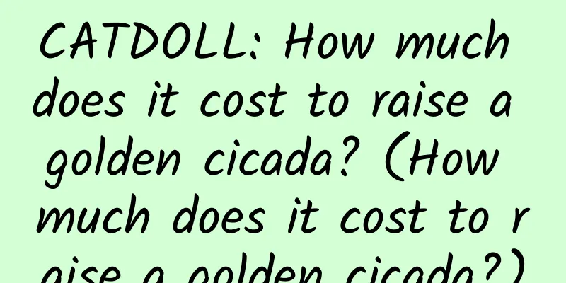 CATDOLL: How much does it cost to raise a golden cicada? (How much does it cost to raise a golden cicada?)
