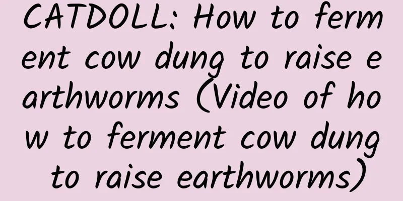 CATDOLL: How to ferment cow dung to raise earthworms (Video of how to ferment cow dung to raise earthworms)