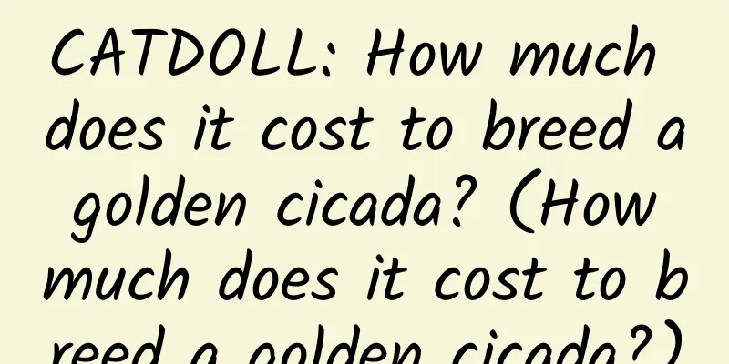 CATDOLL: How much does it cost to breed a golden cicada? (How much does it cost to breed a golden cicada?)