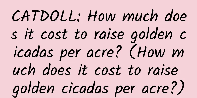 CATDOLL: How much does it cost to raise golden cicadas per acre? (How much does it cost to raise golden cicadas per acre?)