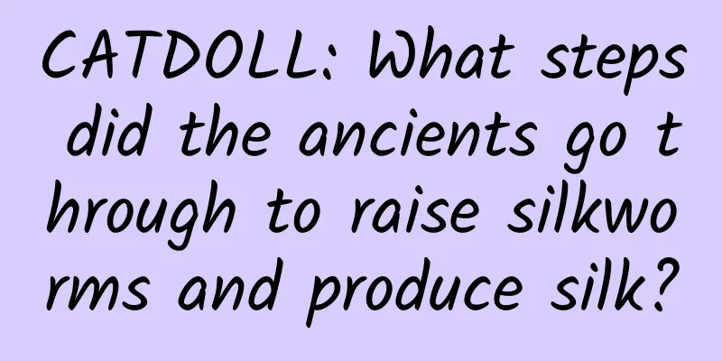 CATDOLL: What steps did the ancients go through to raise silkworms and produce silk?