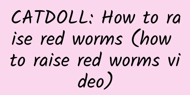 CATDOLL: How to raise red worms (how to raise red worms video)