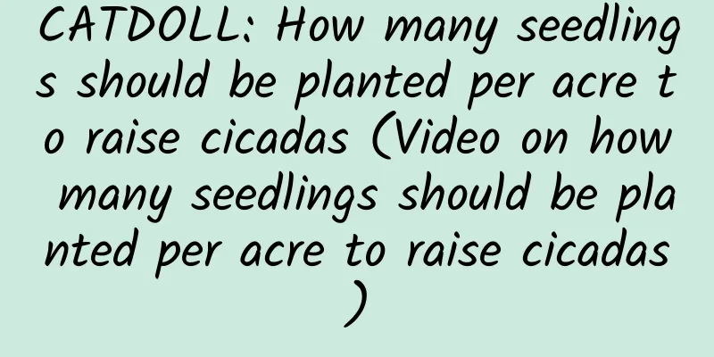 CATDOLL: How many seedlings should be planted per acre to raise cicadas (Video on how many seedlings should be planted per acre to raise cicadas)