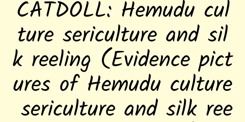 CATDOLL: Hemudu culture sericulture and silk reeling (Evidence pictures of Hemudu culture sericulture and silk reeling technology)