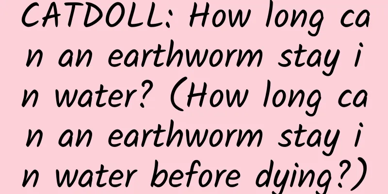CATDOLL: How long can an earthworm stay in water? (How long can an earthworm stay in water before dying?)