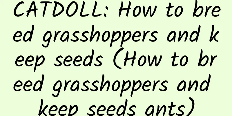CATDOLL: How to breed grasshoppers and keep seeds (How to breed grasshoppers and keep seeds ants)