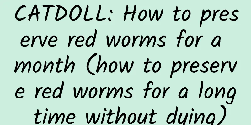 CATDOLL: How to preserve red worms for a month (how to preserve red worms for a long time without dying)