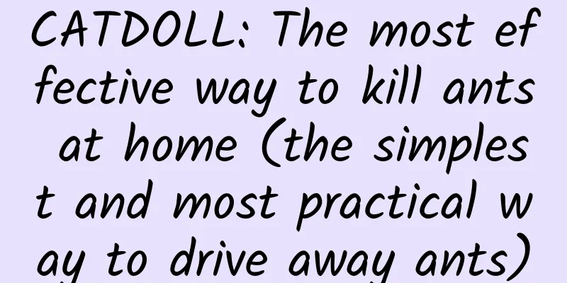 CATDOLL: The most effective way to kill ants at home (the simplest and most practical way to drive away ants)