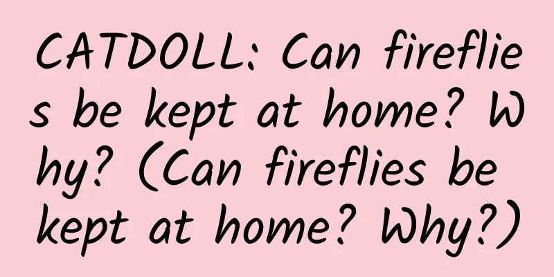 CATDOLL: Can fireflies be kept at home? Why? (Can fireflies be kept at home? Why?)