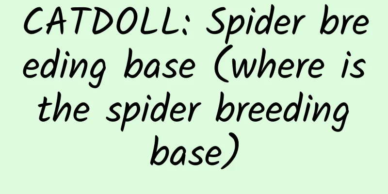 CATDOLL: Spider breeding base (where is the spider breeding base)