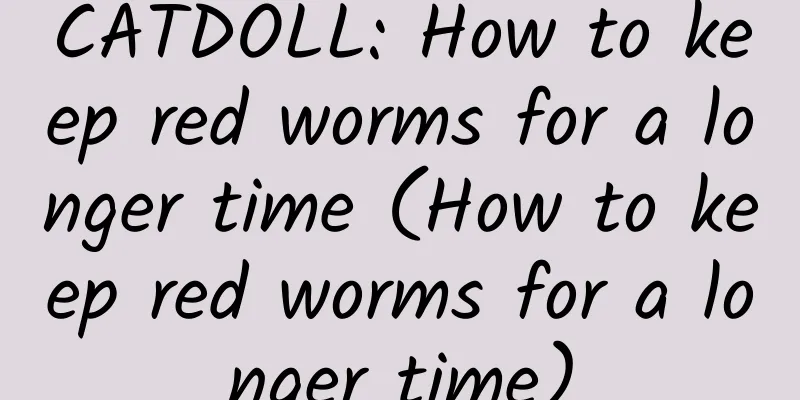 CATDOLL: How to keep red worms for a longer time (How to keep red worms for a longer time)