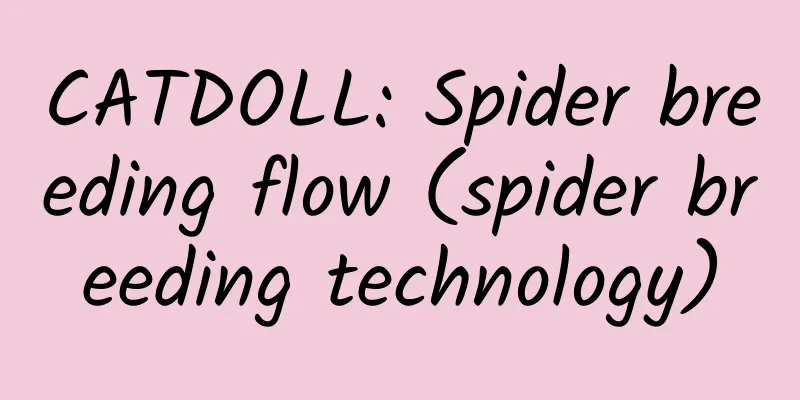 CATDOLL: Spider breeding flow (spider breeding technology)