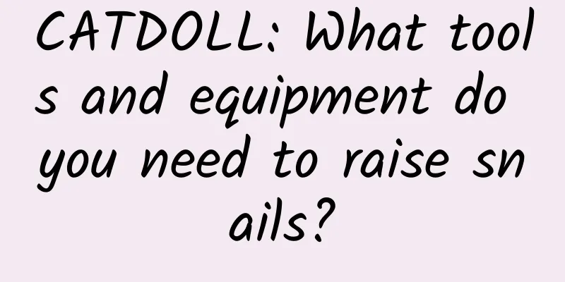 CATDOLL: What tools and equipment do you need to raise snails?