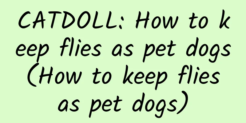 CATDOLL: How to keep flies as pet dogs (How to keep flies as pet dogs)
