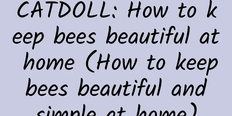 CATDOLL: How to keep bees beautiful at home (How to keep bees beautiful and simple at home)