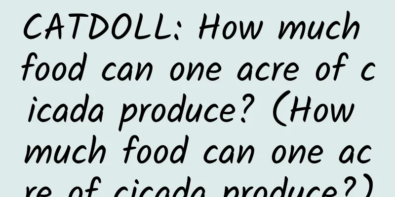 CATDOLL: How much food can one acre of cicada produce? (How much food can one acre of cicada produce?)