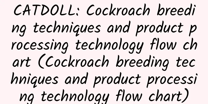 CATDOLL: Cockroach breeding techniques and product processing technology flow chart (Cockroach breeding techniques and product processing technology flow chart)
